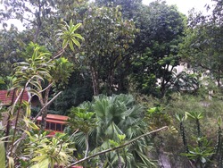 Clementi Park (D21), Condominium #157839822